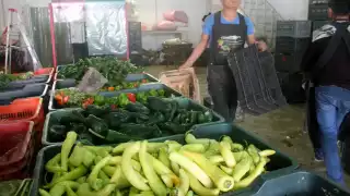 Quintana Roo cae al último lugar en ganancias generadas por exportaciones en 2021: Inegi