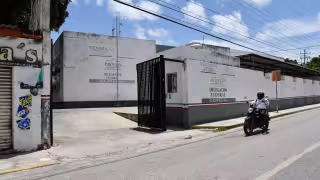 Alertan en Ciudad del Carmen por falsos inspectores de Profepa; exigen dinero para evitar clausuras