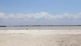 Semarnat autoriza la construcción de un complejo habitacional en Dzemul pese a ser un riesgo ambiental