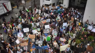 Ambientalistas protestan en CDMX y exigen a Semarnat resolutivo oficial contra “Perfect Day” en Mahahual