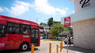 Imoveqroo instala 128 paraderos del Sistema MOBI; 85 operarán en Cancún y 43 en Chetumal