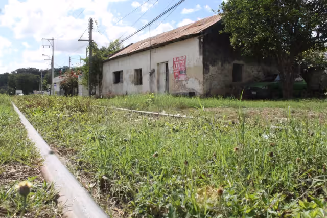 Los vestigios arqueológicos aportan datos sobre el estudio de la cultura maya.