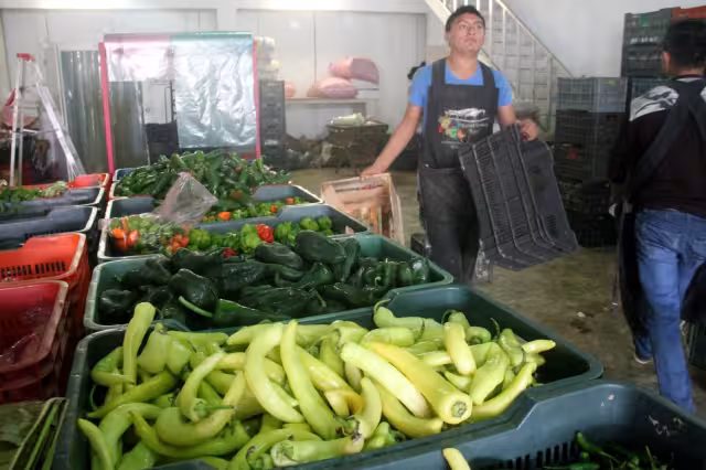 Venta de productos agrícolas apenas reportaron mil dólares a Quintana Roo; es la peor cifra desde abril a junio de 2020