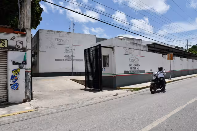 Profepa alerta por falsos inspectores que extorsionan en Ciudad del Carmen