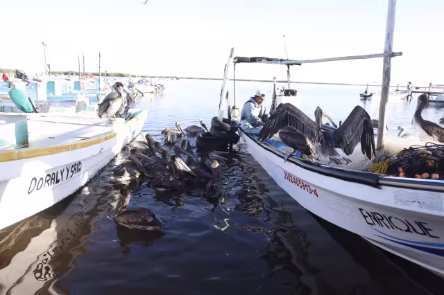 El Gobierno del estado apoyará con el 50% del costo