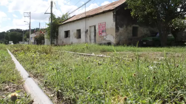 Los vestigios arqueológicos aportan datos sobre el estudio de la cultura maya.