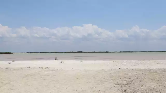  Semarnat dio luz verde a un proyecto inmobiliario en San Bruno.
