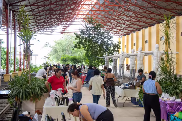 Las nuevas licenciaturas de la UNAY iniciarán en enero y agosto