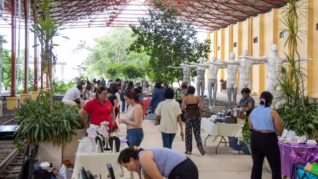 Las nuevas licenciaturas de la UNAY iniciarán en enero y agosto