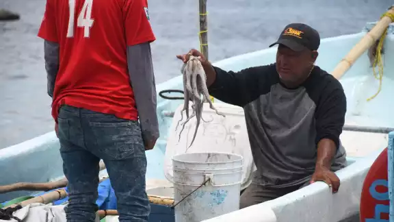 Hasta un 25% disminuye la venta de mariscos