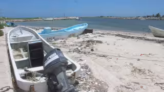 Restos de equipo de pesca en playas de El Cuyo ponen en riesgo a la fauna marina 