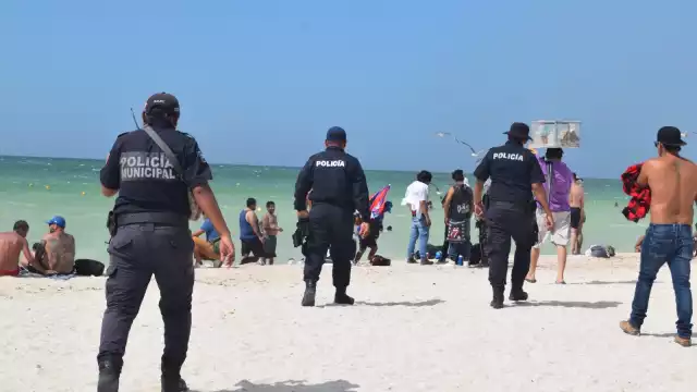 Hay presencia de especies peligrosas en la playa en Progreso