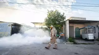Suman 151 casos de dengue en 19 municipios de Yucatán y con dos muertes; refuerzan acciones preventivas