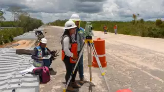 Las estructuras minimizan la división de ecosistemas y aumentan la circulación de animales