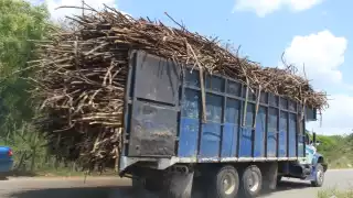 Aún quedan varas en el campo para cortar