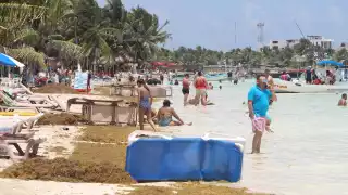 Los lugareños hicieron barreras artesanales contra el sargazo