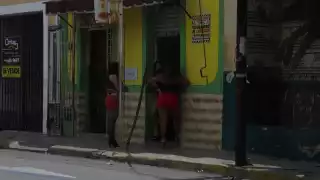 El trabajo sexual debe considerarse lícito, en el entendido de que quienes lo ejercen lo hacen libre y voluntariamente