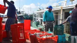 Los fenómenos naturales como la marea roja y los constantes nortes han marcado el fin de las temporadas de búsqueda de diferentes escamas