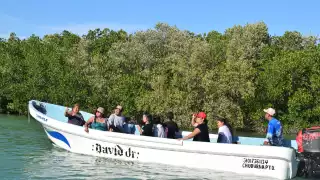 Se ofrecieron viajes con duración de hasta tres horas para deleite de las familias