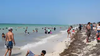 Así lucieron las playas de progreso este domingo