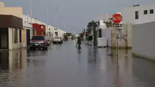 FOTO: Martín Zetina