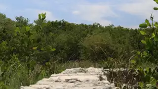 En la próxima audiencia se definirá el reclamo que existe entre los ejidatarios de Yucatán y Campeche