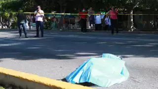 Ángela “N”, de oficio estilista, cruzaba la avenida por el andador peatonal cuando fue embestida por una combi