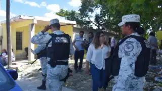 En la calle 27 entre 20 y 22 se encontró flora de la ciénaga cortada y escombro