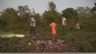 En la carretera Hunucmá-San Antonio Chel hay una decena de áreas sembradas con el cítrico