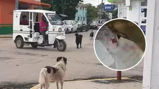 El mensaje en la muñeca hace referencia a la violencia contra las mujeres