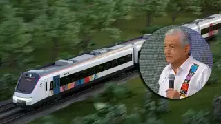 El Presidente de México indicó que quiere hablar personalmente con los famosos para que conozcan las acciones que el Gobierno de México en pro del medio ambiente en los tramos del Tren Maya