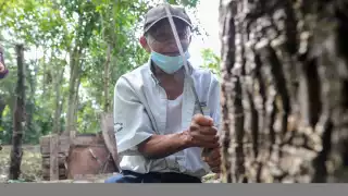 Abuelito añora su oficio de chiclero en Leona Vicario