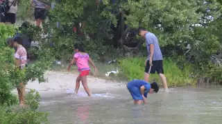 Familias enteras corren peligro por ser atacados por cocodrilos en el manglar