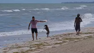 En el caso de los parques públicos, no podrán acceder a las áreas infantiles, pues estas continuarán cerradas como medida de protección a los menores. Foto: Archivo 
