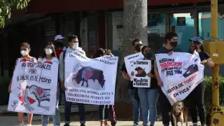 Animalistas aseguran que la tortura  animal no es arte ni cultura, por lo que se manifestaron afuera de la Plaza de Toros Mérida