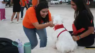 Candidata Vida Gómez Herrera realiza recorrido por calles de Yucatán