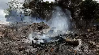 El municipio con mayor afectación el año pasado fue Bacalar con la pérdida de 12 mil 343 hectáreas