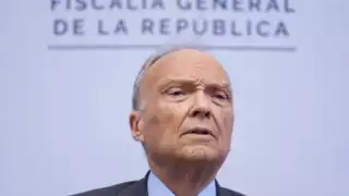 Alejandro Gertz Manero