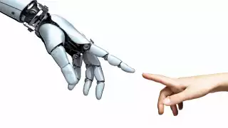 Estos robots solamente son utilizados en sus oficinas