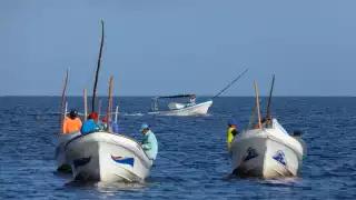 La captura clandestina daña la economía de los pescadores, también la reproducción de la especie