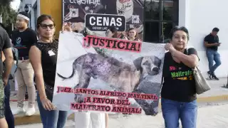 Animalistas organizan protesta contra el hombre que le mutiló la pata a un perro en Umán