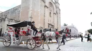 Nuevas calesas eléctricas de Mérida no sustituirán a las actuales impulsadas por caballos