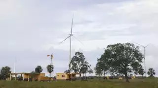 Muchas empresas han visto las bondades del aire y el sol en la entidad yucateca