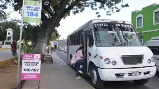 Usuarios desconfían de que se renueven los autobuses