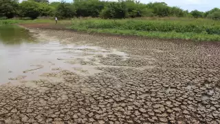 En la segunda quincena de noviembre, fueron 37 demarcaciones de la región peninsular con problemas por la falta de lluvia