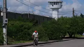 En noviembre del año pasado, el beisbolista Randy Arozarena estuvo preso algunas horas