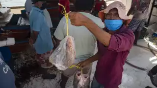 Más de 12 mil pescadores recibirán este año el apoyo directamente en sus hogares