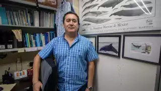 Raúl Díaz Gamboa, jefe del departamento de biología marina de la UADY, indicó que los atascamientos obedecen a mútiples factores