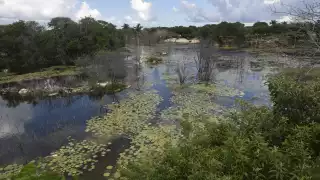 Hace dos años y medio que iniciaron los Guardaparques, de los cuales solo hay 77 en el estado
