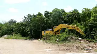 El crecimiento de la población también provocó la construcción de desarrollos habitacionales en Cancún, deforestando la selva